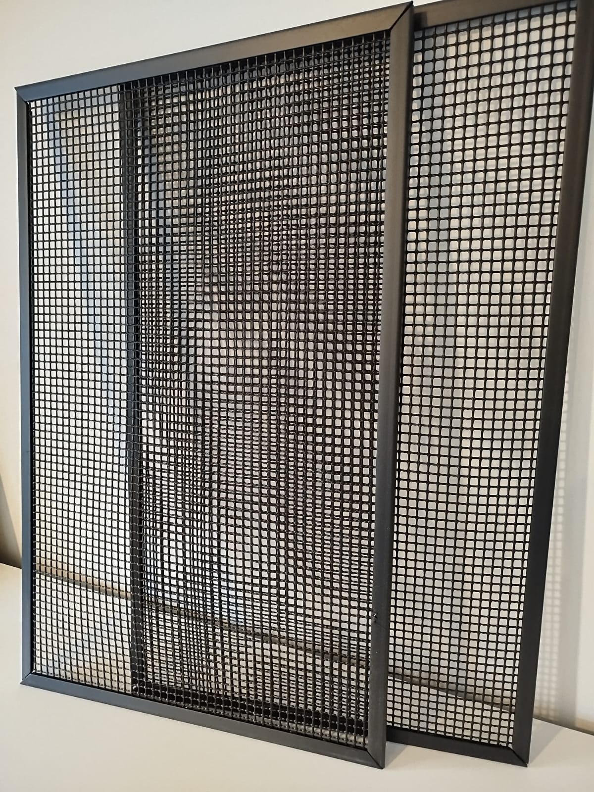 Hex mesh filter guard pair — angled view showing the fine mesh