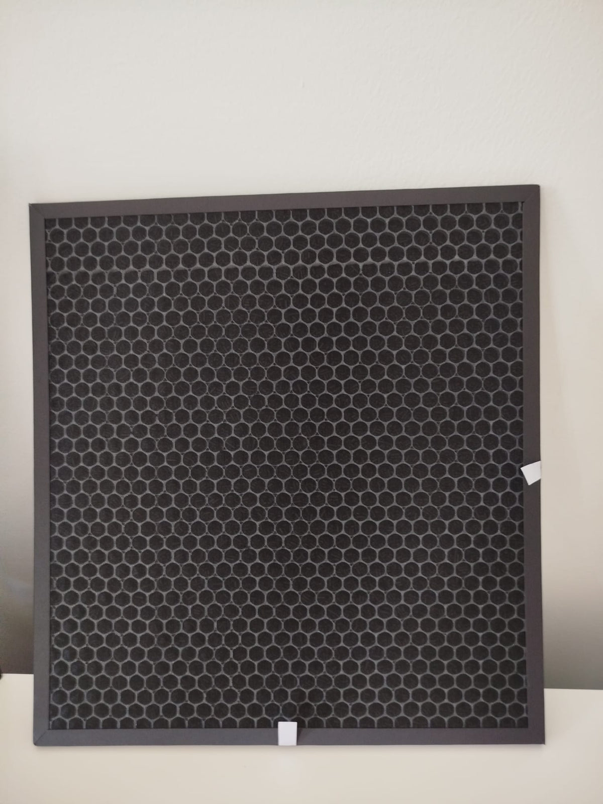 Activated carbon filter pair for Luggable Carbon — front view